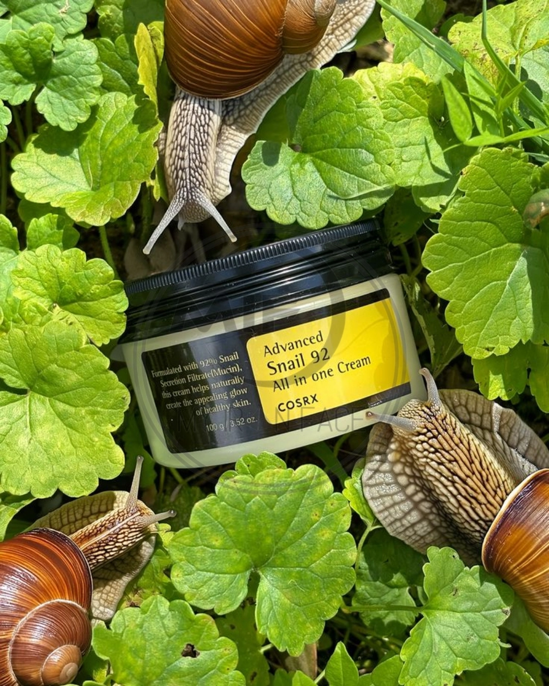 کرم آبرسان و مرطوب کننده حلزون